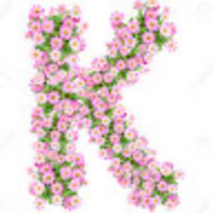 Meet your Posher, Keti